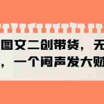 (6274期)抖音图文二创带货,无直播,不剪辑,一个闷声发大财的项目
