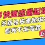 (6253期)拼多多-快速流量起爆实战,拼多多新品快速起爆实操,看完不走弯路