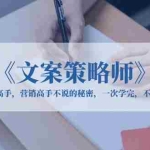 (6252期)《文案策略师》文案高手,营销高手不说的秘密,一次学完,不走弯路