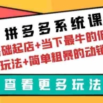 (6217期)拼多多系统课:0基础起店+当下最牛的低价起量玩法+简单粗暴的动销玩法