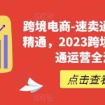 (6208期)速卖通从0基础到精通,2023跨境电商-速卖通运营实战全流程