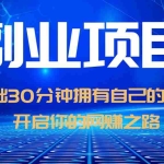 (6203期)零基础30分钟拥有自己的网站,日赚1000+,开启你的网赚之路(教程+源码)