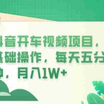 (6199期)抖音开车视频项目,0基础操作,每天五分钟,月入1W+