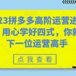 (6193期)2023拼多多高阶运营进阶篇,用心学好四式,你就是下一位运营高手