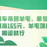 (6175期)懂车帝薅羊毛,单号最高165元,羊毛项目,搬运就行