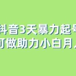 (6177期)抖音3天暴力起号新手可做助力小白月入过万