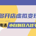 (6169期)拼多多开店虚拟变现项目:入门到精通 从小白到日入1000(完整版)6月13更新