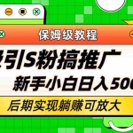 (6168期)轻松引流老S批 不怕S粉一毛不拔 保姆级教程 小白照样日入500+