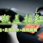 (6162期)绿茶瓶盖_全动抽红包 详细使用教程+软件!