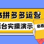 (6152期)2023拼多多·运营:14节干货实战课,拒绝-口嗨,全后台实操演示