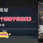 (6135期)1000个野路子信息差保姆式教程-单日变现3000+的玩法解密