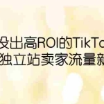 (6102期)如何投出高ROI·TikTok广告,开拓独立站卖家流量新蓝海