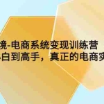 (6058期)TikTok跨境-电商系统变现训练营【5月新课】从小白到高手,真正的电商实操课