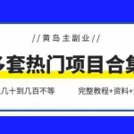 (6056期)黄岛主副业多套热门项目合集:日入几十到几百不等(完整教程+资料+素材)