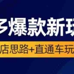 (6028期)2023拼多多爆款·新玩法:起店思路+直通车玩法(3节精华课)