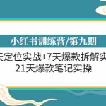 (6016期)小红书训练营/第九期:7天定位实战+7天爆款拆解实战,21天爆款笔记实操