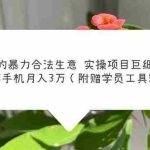 (5962期)男人的暴力合法生意实操项目巨细版:仅一部手机月入3w(附赠学员工具箱)