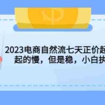(5956期)2023电商自然流七天正价起号实战课:起的慢,但是稳,小白执行即可!