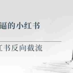 (5941期)写一个牛逼的小红书单品玩法,淘宝+小红书反向截流!【某公众号付费文章】