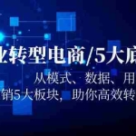 (5939期)企业转型电商/5大底层逻辑,从模式 数据 用户 产品 营销5大板块,高效转型