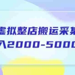 (5931期)淘宝虚拟整店搬运采集玩法分享课:月入2000-5000元(5节课)
