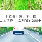 (5914期)小红书引流大学生粉,变现项目,一单利润在200+(教程+资源)