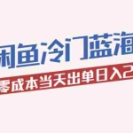 (5903期)2023最新闲鱼冷门蓝海玩法,小白零成本当天出单日入200+