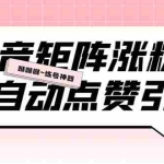 (5900期)外面收费3988斗音矩阵涨粉挂机项目,自动化操作【软件+视频教程】