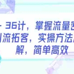(5899期)引流·36计,掌握流量密码,快速引流拓客,实操方法层层拆解,简单高效
