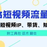 (5883期)2023短视频流量实战 本地、短视频IP、带货、知识付费(附工具包 话术 脚本)