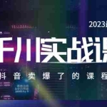 (5877期)2023最新千川实操课,抖音卖爆了的课程(20节视频课)