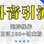 (5871期)抖音引流术,矩阵操作,一天能引100多创业粉
