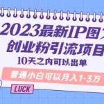 (5862期)2023最新IP图文创业粉引流项目,10天之内可以出单 普通小白可以月入1-3万