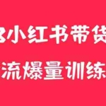 (5847期)小红书电商爆量训练营,月入3W+!可复制的独家养生花茶系列玩法