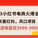 (5840期)2023小红书电商火爆全网,新晋红利,风口项目,单店收益在3000-30000!