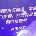 (5773期)热门短视频带货实战 掌握流量密码 做热门视频 打造有流量的短视频带货账号