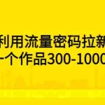 (5769期)利用流量密码拉新,一个作品300-1000+
