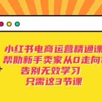 (5764期)小红书电商·运营精通课,帮助新手卖家从0走向1 告别无效学习(7节视频课)