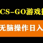 （5760期）最新csgo游戏搬砖游戏，无需挂机小白无脑也能日入300+