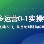 (5747期)拼多多-运营0-1实操训练营,拼多多0基础入门,从基础到进阶的可实操玩法