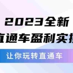 (5714期)2023全新直通车·盈利实操:从底层,策略到搭建,让你玩转直通车