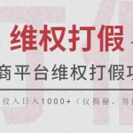 (5709期)电商平台维权打假项目,号称0投入日入1000+(仅揭秘,勿操作)