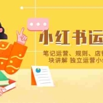 (5682期)小红书·运营课,笔记运营、规则、店铺运营等模块讲解 独立运营小红书账号