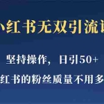 (5674期)小红书无双课一天引50+女粉,不用做视频发视频,小白也很容易上手拿到结果