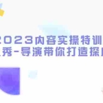 (5669期)2023内容实操特训营,真人秀-导演带你打造探店IP