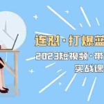 (5640期)连怼·打爆蓝海·单品,2023短视频·带货好物分享·实战课!