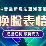 (5626期)抖音AI换脸表情包小程序变现最新玩法,单条视频变现1万+普通人也能轻松玩转