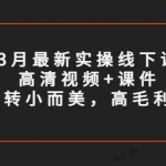 (5597期)3月最新实操线下课高清视频+课件,如何玩转小而美,高毛利直播间