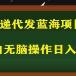 (5573期)2023最新蓝海快递代发项目,小白零成本照抄也能日入300+(附开户渠道)