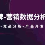 (5565期)品牌-营销数据分析课,行业洞察-竞品分析-产品开发-爆品打造